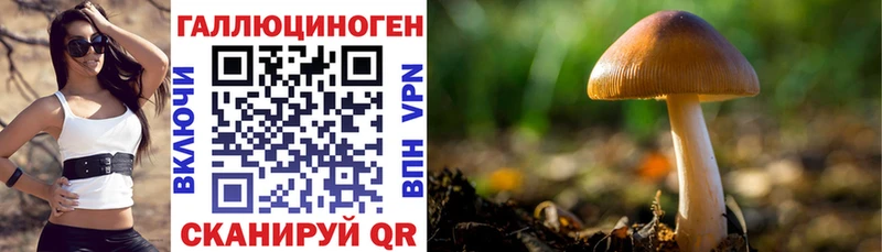 купить наркотик  Рудня  Псилоцибиновые грибы прущие грибы 