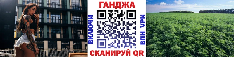 OMG ссылки  Рудня  Канабис гибрид 